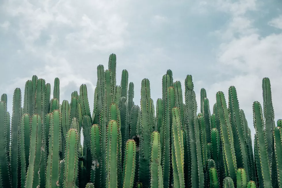 The Incredible Prickly Aftermath of TCU’s Recruiting Coordinator Popping Off