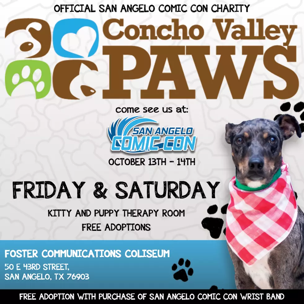 You Can Snuggle With Puppies & Adopt Them at San Angelo Comic Con