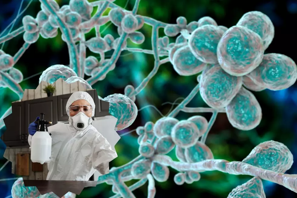 Deadly, Drug Resistant, Fungus Found Spreading Extra Quickly Across Texas
